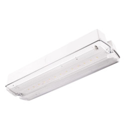 Lampa exit, aparenta, 3ore, 15W, permanent, autotest, cu rezistenta de incalzire, IP65,  Intelight 91525