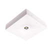 Corp iluminat de antipanica , aparent cu LED 1h, 1W, nementinut, manual test, Intelight 92801