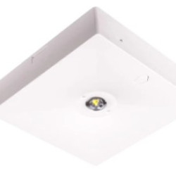 Corp iluminat de antipanica , aparent cu LED 1h, 1W, nementinut, manual test, Intelight 92801